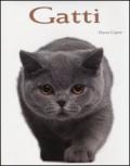 Gatti