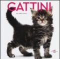 Gattini