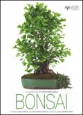 Bonsai