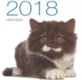 Gatti. Calendario da muro 2018