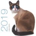 GATTI. CALENDARIO DA MURO 2019