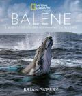 Balene. I segreti dei più grandi mammiferi viventi. Ediz. illustrata