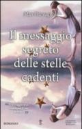 Il messaggio segreto delle stelle cadenti (eNewton Narrativa)