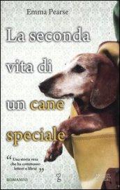 La seconda vita di un cane speciale