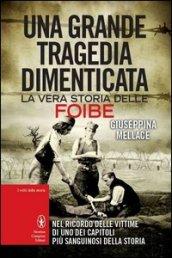 Una grande tragedia dimenticata (eNewton Saggistica)