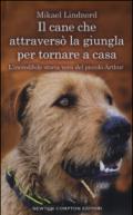 Il cane che attraversò la giungla per tornare a casa. L'incredibile storia vera del piccolo Arthur