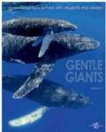 Gentle giants. Ediz. illustrata
