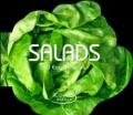 Salads. 50 easy recipes