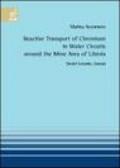 Reactive transport of chromium in water circuits around the mine area of Libiola (Sestri Levante, Genoa)