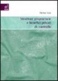 Strutture prprietarie e benefici privati di controllo