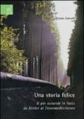 Una storia felice. Il gas naturale in Italia da Mattei al Transmediterraneo