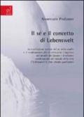 Il sé e il concetto di Lebenswelt. La costruzione sociale del sé nello studio e il cambiamento del sé attraverso l'ingresso nel mondo del lavoro...