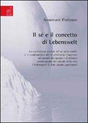Il sé e il concetto di Lebenswelt. La costruzione sociale del sé nello studio e il cambiamento del sé attraverso l'ingresso nel mondo del lavoro...