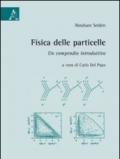 Fisica delle particelle. Un compendio introduttivo