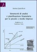 Strumenti di analisi e pianificazione finanziaria per le piccole e medie imprese