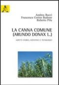 La canna comune (Arundo Donax L.). Aspetti storici, scientifici e tecnologici