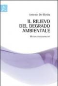 Il rilievo del degrado ambientale. Metodi ingegneristici