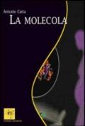 La molecola