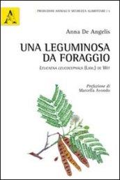 Una leguminosa da foraggio. Leucaena leucocephala (Lam.) De Wit