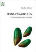 Perna canaliculus. Un antinfiammatorio naturale