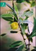 I pescomandorli in Sicilia