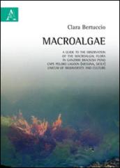 Macroalgae. A guide to the observation of macroalgal flora in Ganzirri brackish pond, Cape Peloro Lagoon (Messina, Sicily), unicum of biodiversity and culture