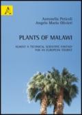 Plants of Malawi. Almost a technical scientific fantasy for an european tourist