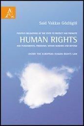 Positive obligations of the state to protect and promote human rights and human rights law
