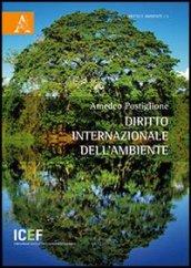 Diritto internazionale dell'ambiente