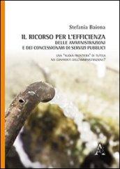 Il ricorso per l'efficienza delle amministrazioni e dei concessionari di servizi pubblici