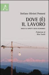 Dove (è) il lavoro. Saggi su aspetti socio-economici