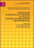 Espressione di molecole di adesione in cellule staminali/progenitrici ematopoietiche. Correlazione con lo stato infiammatorio acuto polmonare indotto...