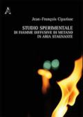 Studio sperimentale di fiamme diffusive di metano in aria stagnante