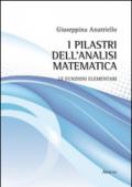 I pilastri dell'analisi matematica. Le funzioni elementari
