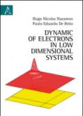 Dynamic of eletrons in low dimensional systems