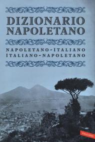 Dizionario napoletano. Nuova ediz.