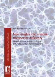 New insights into creatine transporter deficiency. Identification of neuropathological and metabolic targets for treatment