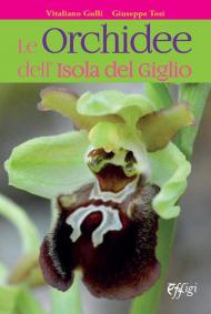 Le orchidee dell'Isola del Giglio