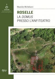 Roselle. La domus presso l'anfiteatro