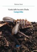 Guida delle lucciole d'Italia lampyridae