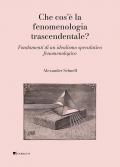 Che cos'è la fenomenologia trascendentale? Fondamenti di un idealismo speculativo fenomenologico