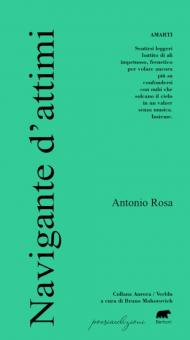 Navigante d'attimi