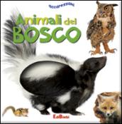 Animali del bosco