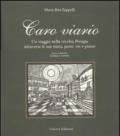 Caro viario. Un viaggio nella vecchia Perugia attraverso le sue mura, porte, vie, piazze
