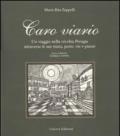 Caro viario. Un viaggio nella vecchia Perugia attraverso le sue mura, porte, vie, piazze