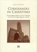 Curiosando in Casentino. Una passeggiata insolita tra il sacro e il profano: storia, arte, personaggi, leggende e curiosità