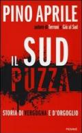 Il Sud puzza: Storia di vergogna e l'orgoglio