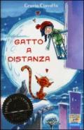 Gatto a distanza