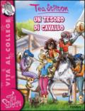 Un tesoro di cavallo