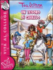 Un tesoro di cavallo